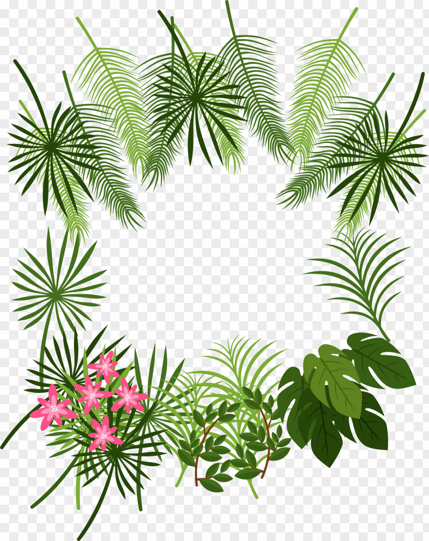 Tropical Leaf Decoration Box Arecaceae Tropics Plant PNG