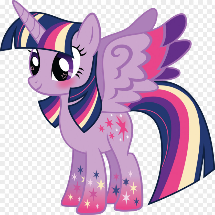 Twilight Sparkle Rainbow Dash My Little Pony Rarity PNG