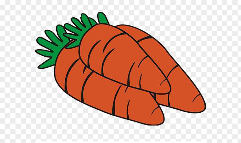 Cartoon Carrot Mashimaro Daikon PNG