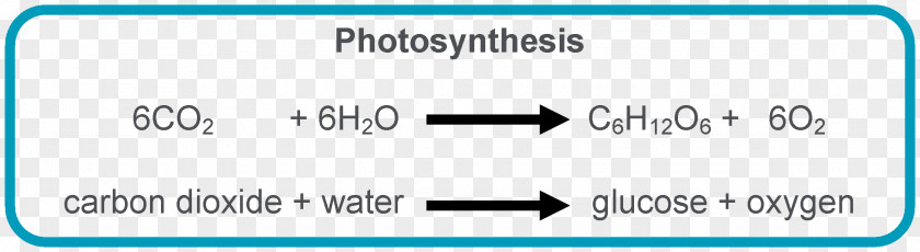 Chemical Reaction Photosynthesis Equation Chloroplast Light-dependent Reactions Symbiogenesis PNG