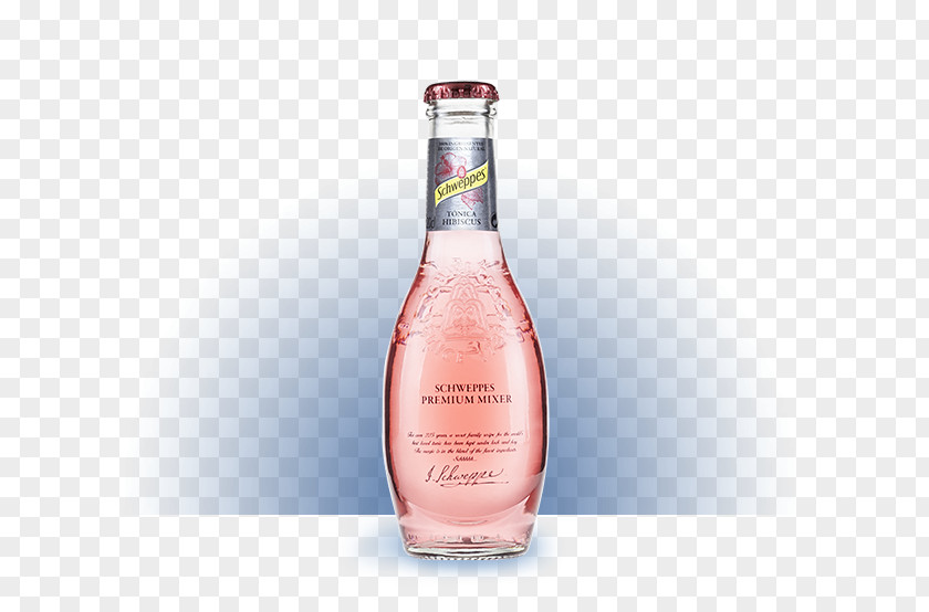 Glass Liqueur Bottle Liquid PNG