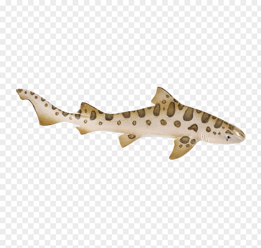 Shark Cartilaginous Fishes Leopard Safari Ltd PNG
