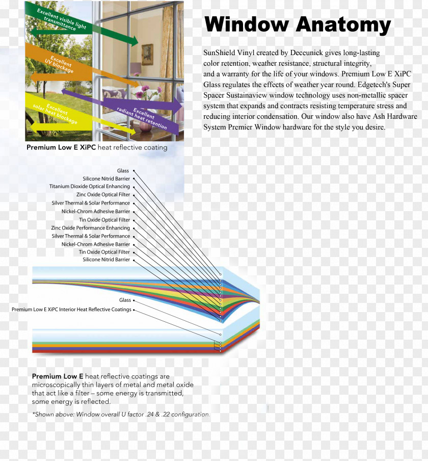 Anatomy Window WordPress Brochure Template PNG