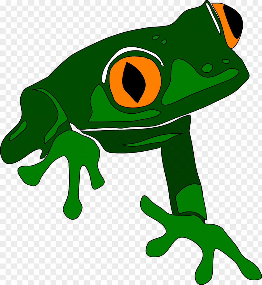 Animal Figure Poison Dart Frog Train Cartoon PNG