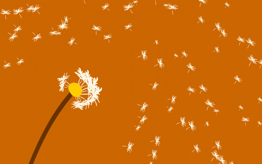 Dandelion Flower Desktop Wallpaper PNG