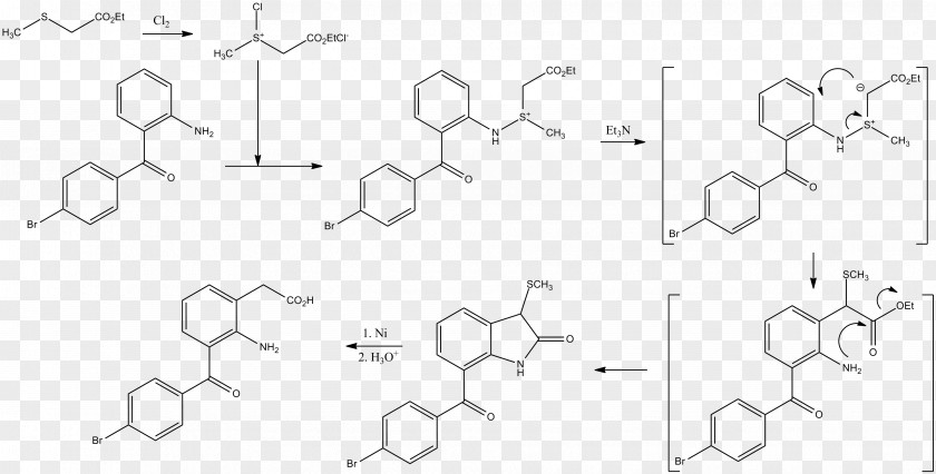 Flavonoid Chemistry Shikimic Acid Furanocoumarin Chemical Compound PNG