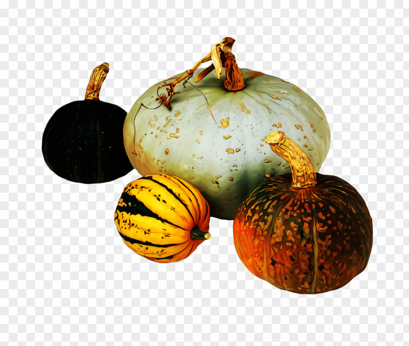 Gourd Squash Pumpkin PNG