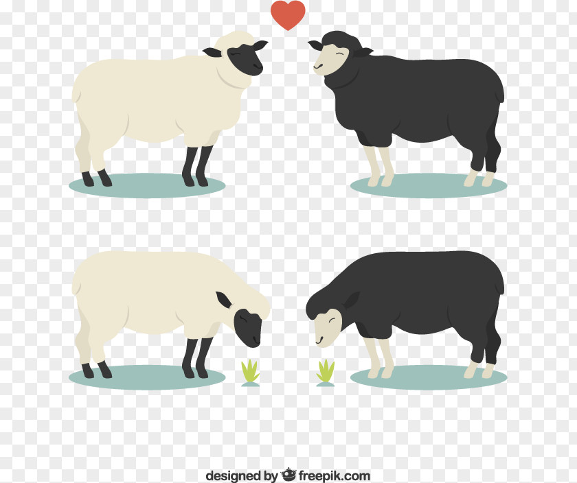 Two Pairs Of Black And White Sheep Vector Material Downloaded, Euclidean PNG