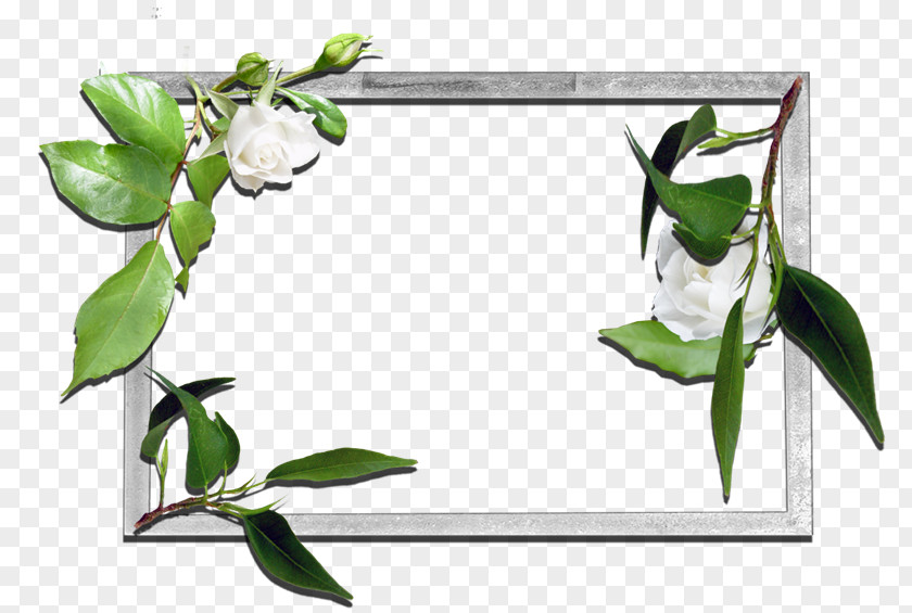 Xi An Picture Frames Floral Design Flower PNG