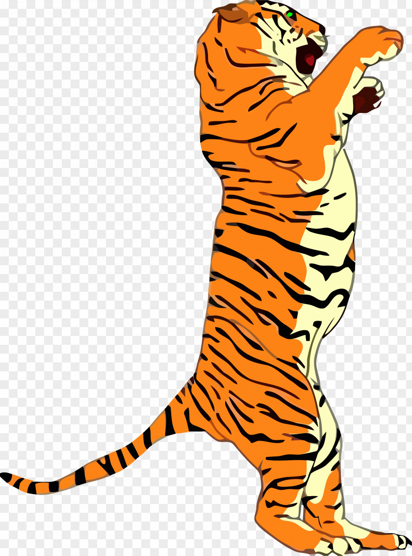 Cat Vector Graphics Stock Photography Royalty-free Bengal Tiger PNG