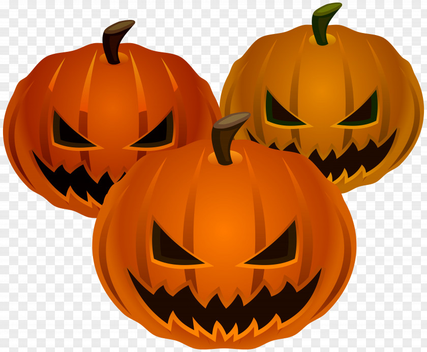 Halloween Pumpkins PNG Clip Art Image David S. Jack-o'-lantern Candy Pumpkin PNG