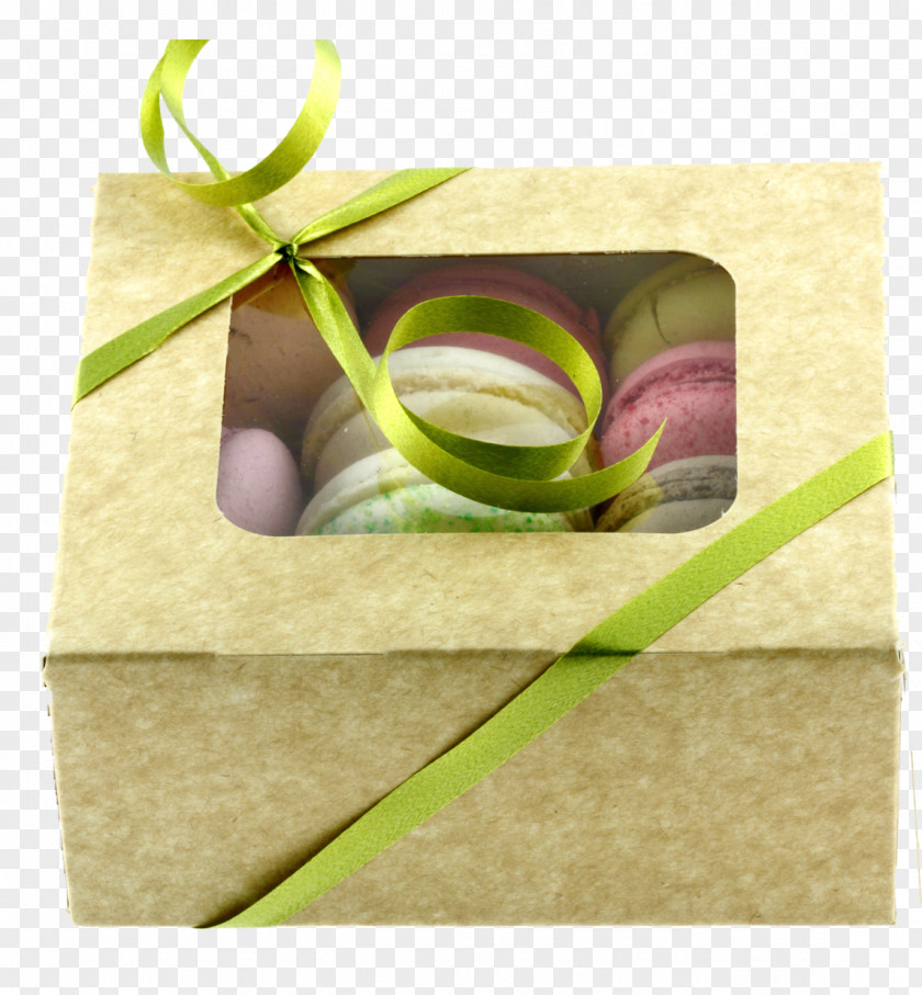Hand Painted Macaron Rectangle PNG