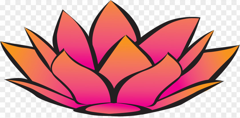 Lotus Nelumbo Nucifera Symbol Flower Clip Art PNG