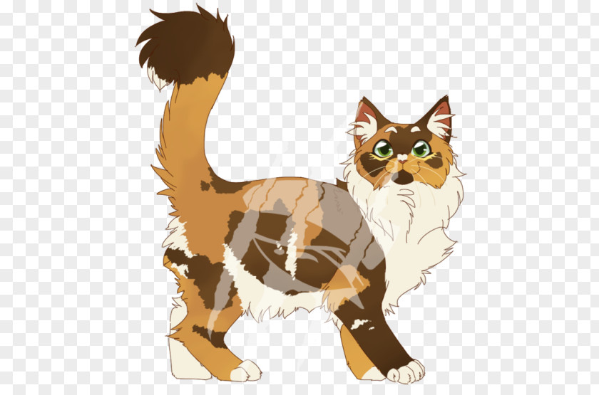 Coon Whiskers Kitten Wildcat Warriors PNG