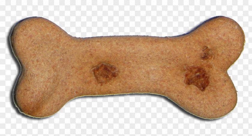 Milk Biscuits Dog Biscuit Golden Retriever Pet Canidae PNG