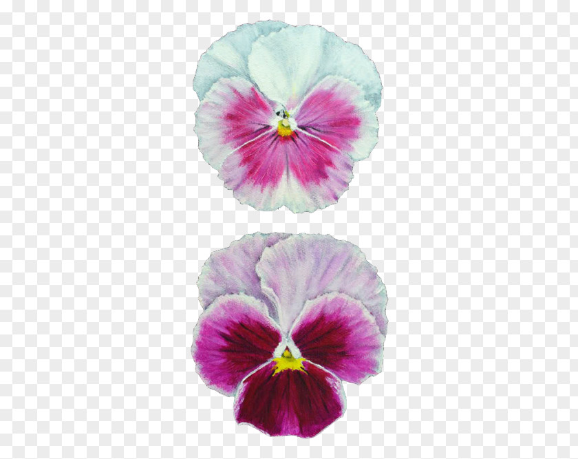 Painting Pansy Watercolor Drawing Art PNG