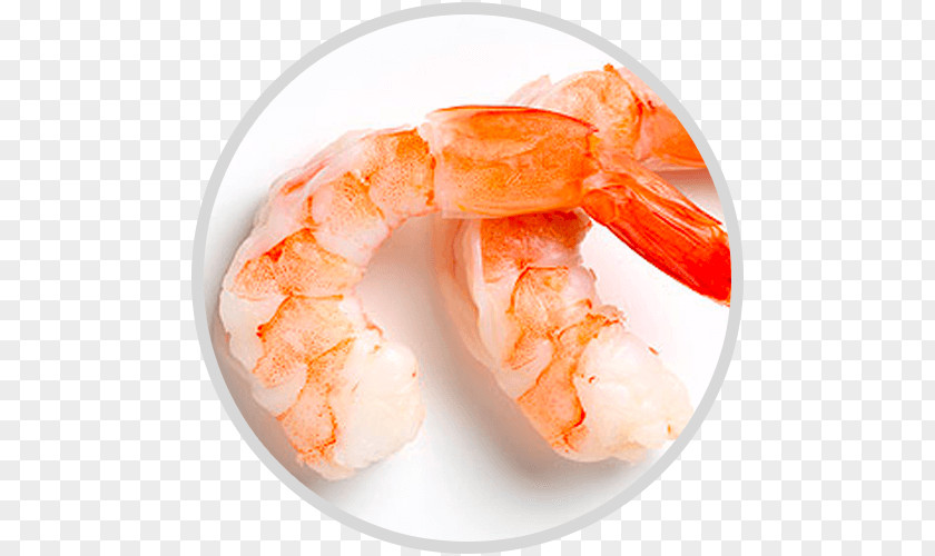 Shrimp La Scala Beverly Hills Food Caridea PNG