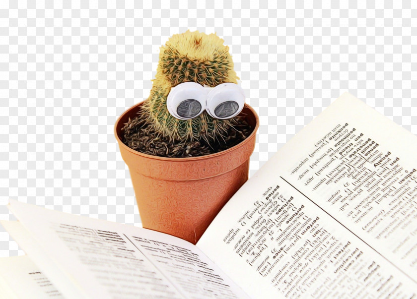 Succulent Plant Caryophyllales Books Cartoon PNG