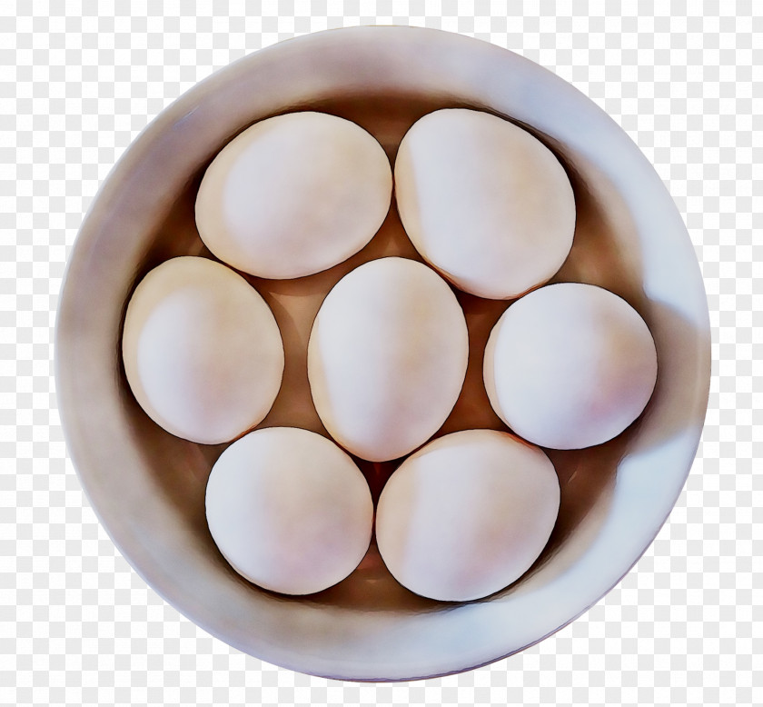 Egg Cookers Easter Food Genie PNG