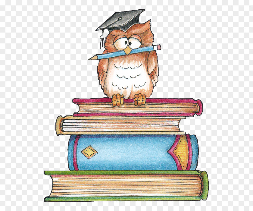 Owl Pin Test Book PNG