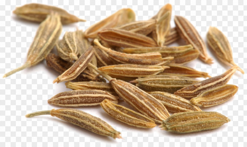 Acco Cumin Tea Spice Plant Coriander PNG