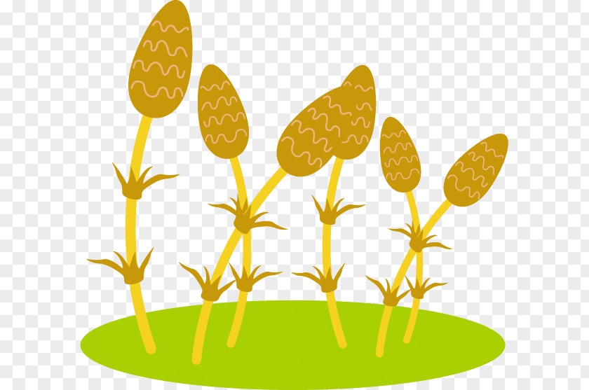 Six Illustrations And Green Grass Illustration. PNG