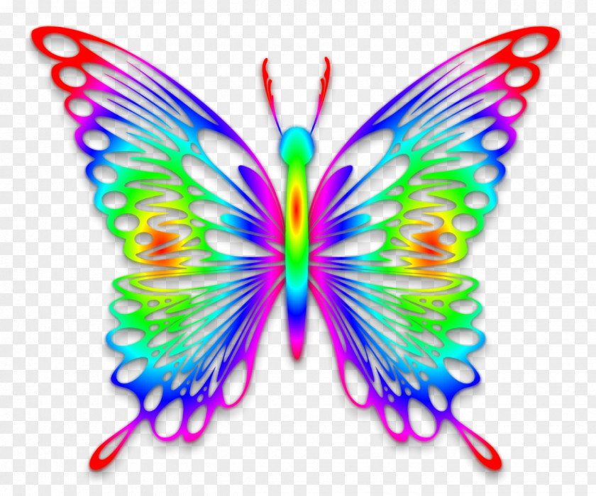 Watercolor Butterfly Rainbow Desktop Wallpaper Clip Art PNG