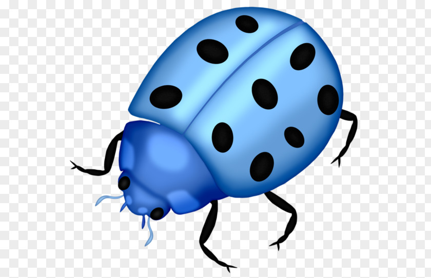 Blue Ladybug Insect Ladybird Clip Art PNG