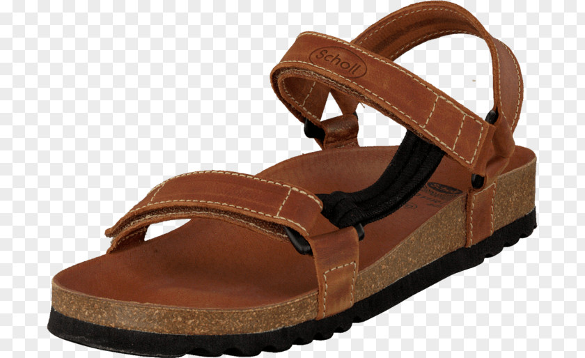 Sandal Slipper Shoe ECCO Crocs PNG