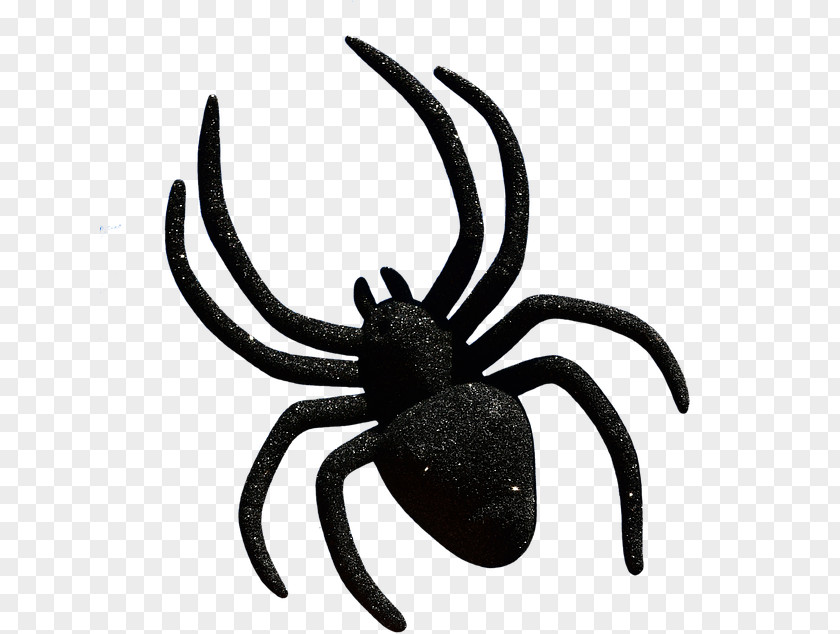 Spider Halloween Trick-or-treating Clip Art PNG