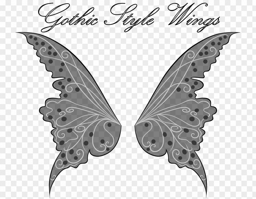 Wings Style Butterfly Insect Monochrome Photography Moth PNG