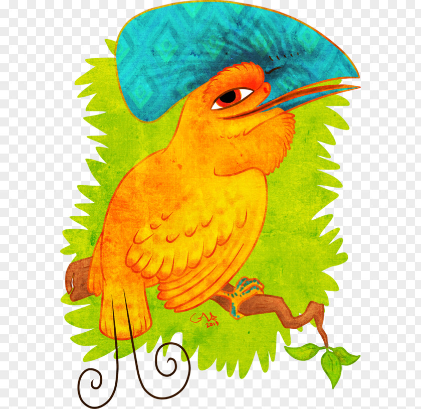 Bird Macaw Of Prey Beak Clip Art PNG