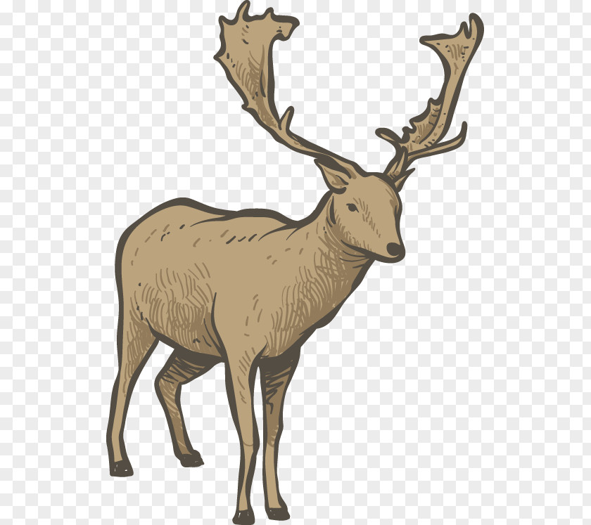 Hand-painted Christmas Cartoon Vector Adult Deer Reindeer Elk Red PNG