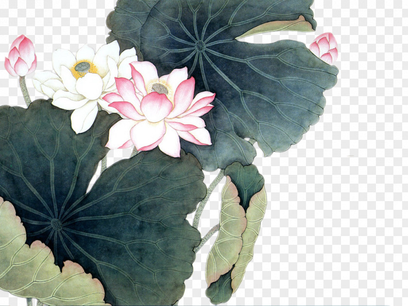 Ink Painting Style Lotus And Leaf Nelumbo Nucifera Chinese Art PNG