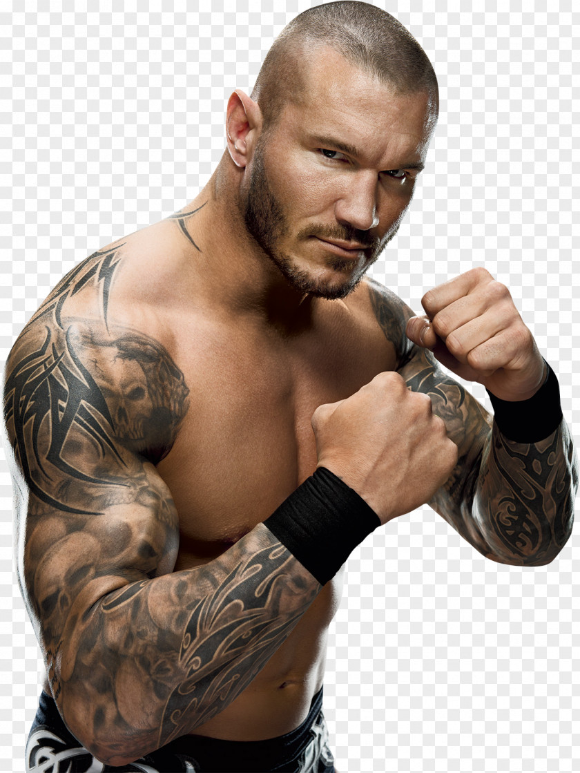 Randy Orton WWE Championship Money In The Bank Ladder Match World Heavyweight PNG in the ladder match Championship, randy orton clipart PNG