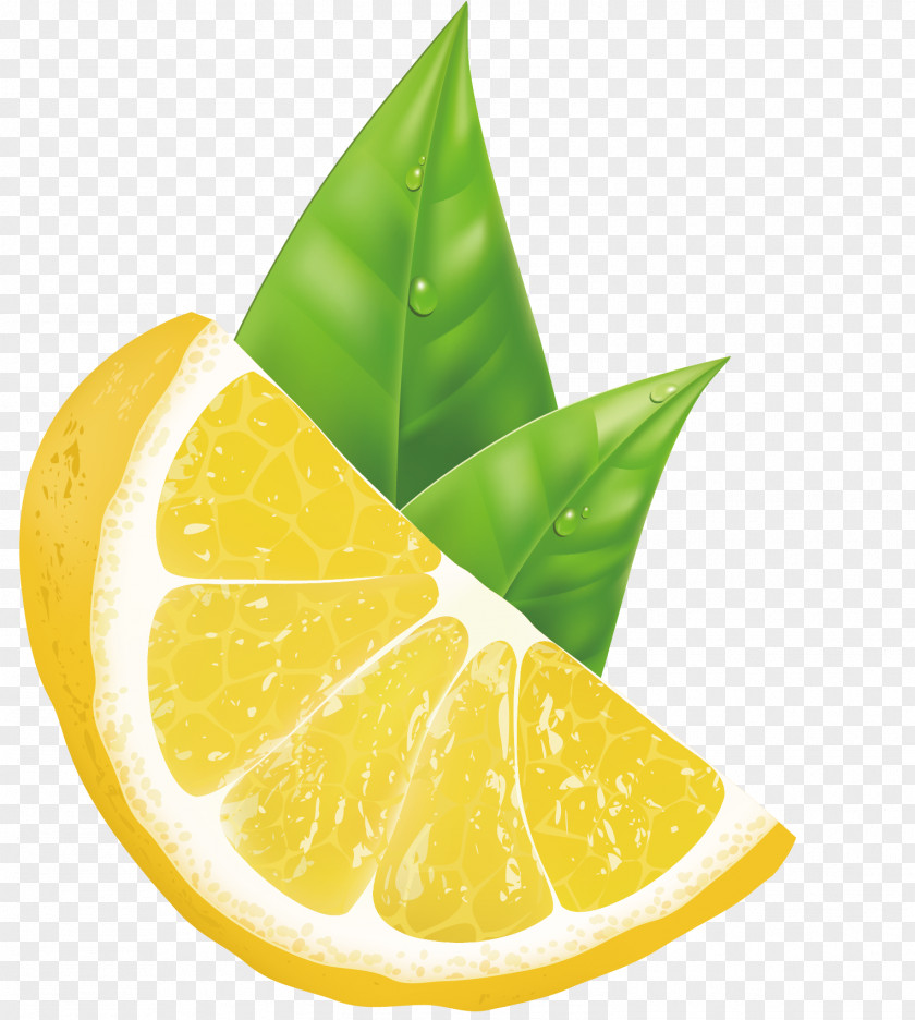 The Lemon Is Beautifully Decorated And Patterned Lemon-lime Drink Citric Acid PNG