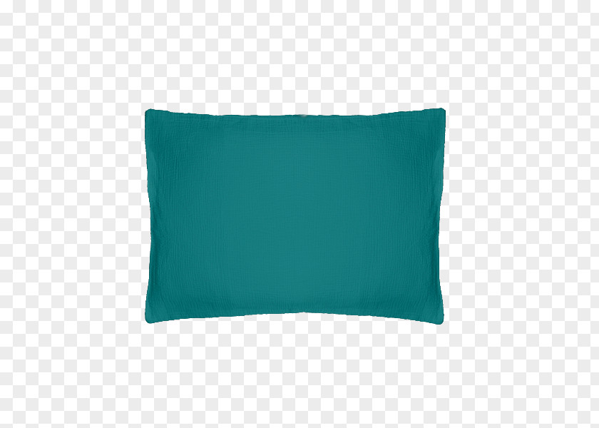 Chinese Family Throw Pillows Turquoise Green Cushion PNG