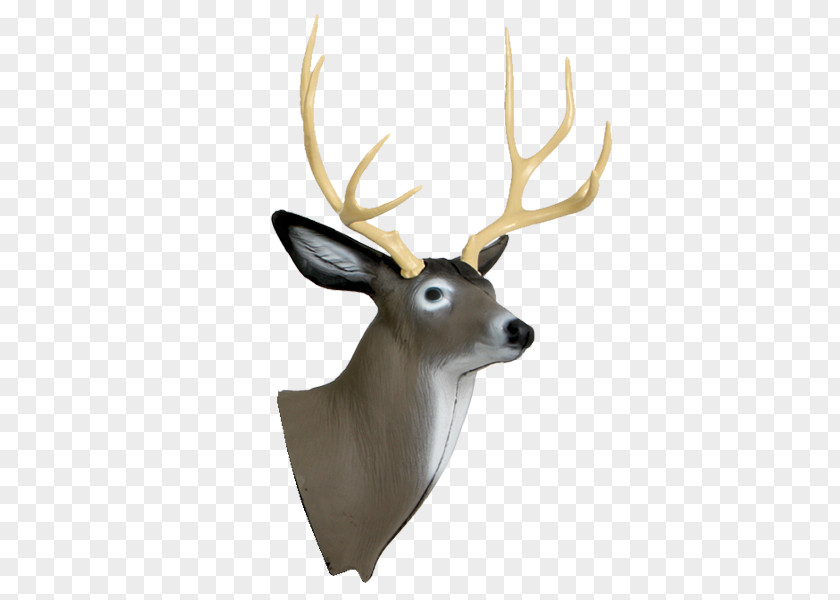 Deer Head White-tailed Target Archery Shooting PNG