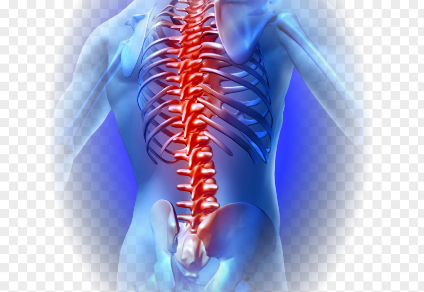 Innova Pain Clinic Low Back Vertebral Column Human Neck PNG