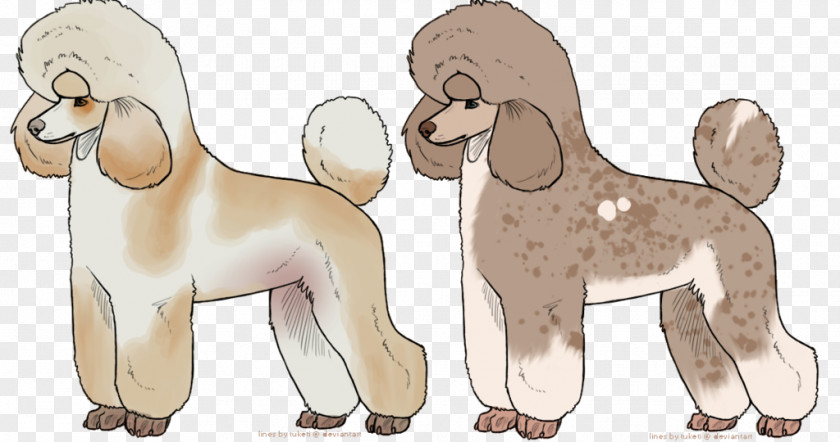 Poodle Dog Breed Puppy Spaniel Non-sporting Group PNG