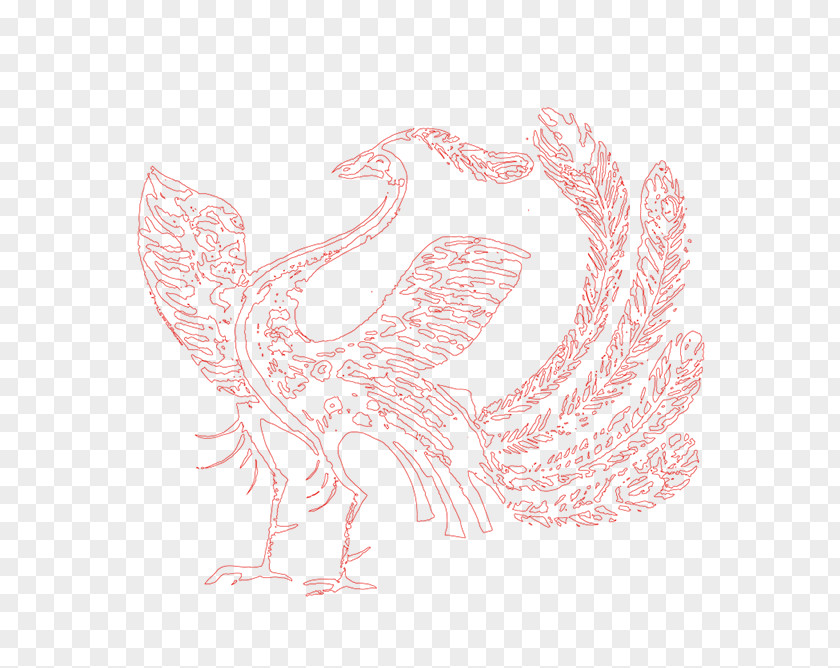 Red Phoenix Water Bird Text Wing Illustration PNG