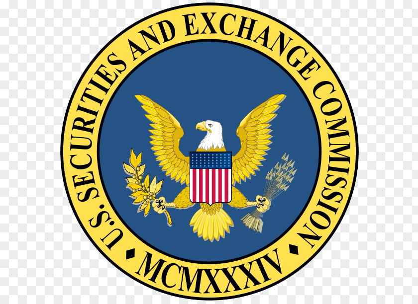 United States Federal Government Of The U.S. Securities And Exchange Commission Security PNG