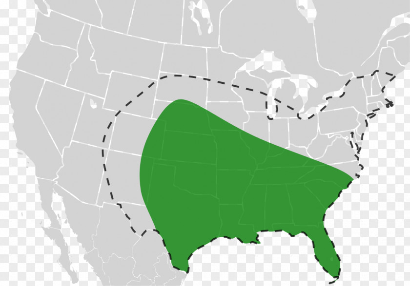 United States Mexico Mapa Polityczna Country PNG