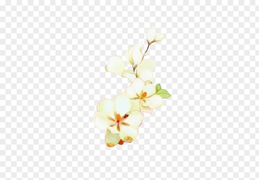 Art Antique White Flower Floral Design Petal PNG