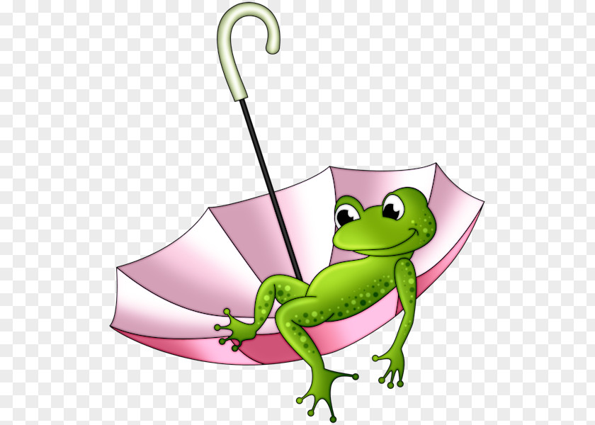 Frog Drawing Clip Art PNG