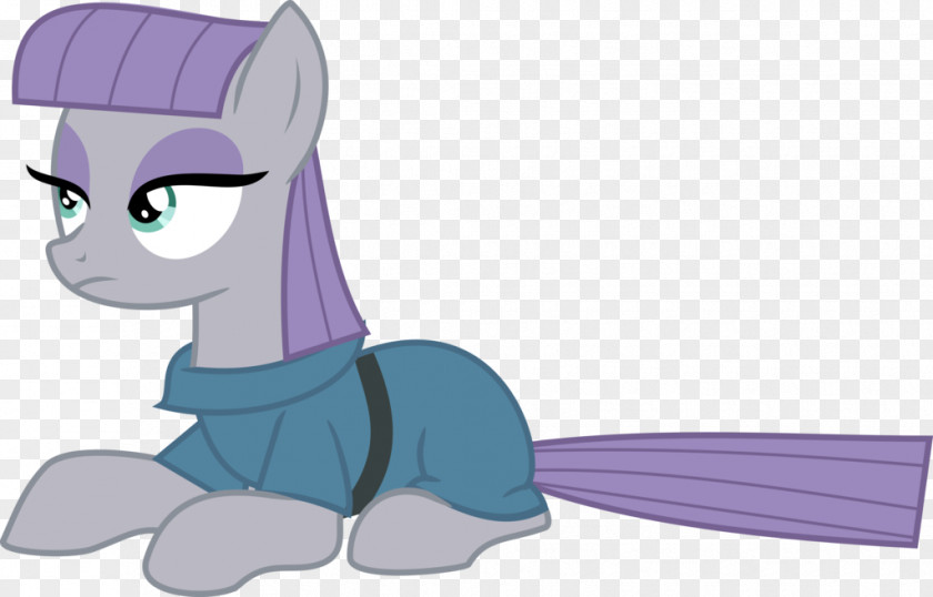 Maud Pie Pinkie My Little Pony: Equestria Girls Ekvestrio Derpy Hooves PNG