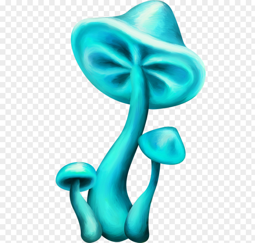 Mushroom Blue Werewere-kokako Fungus Drawing PNG