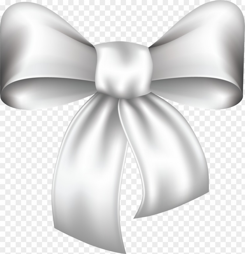 Silver Ribbon Photography Clip Art PNG