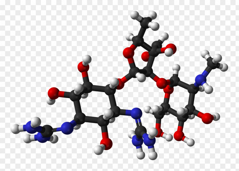 Streptomycin Aminoglycoside Antibiotics Tuberculosis Bacteria PNG