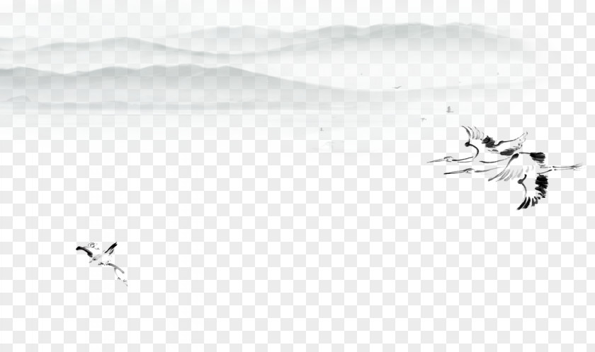 White Crane Brand Pattern PNG